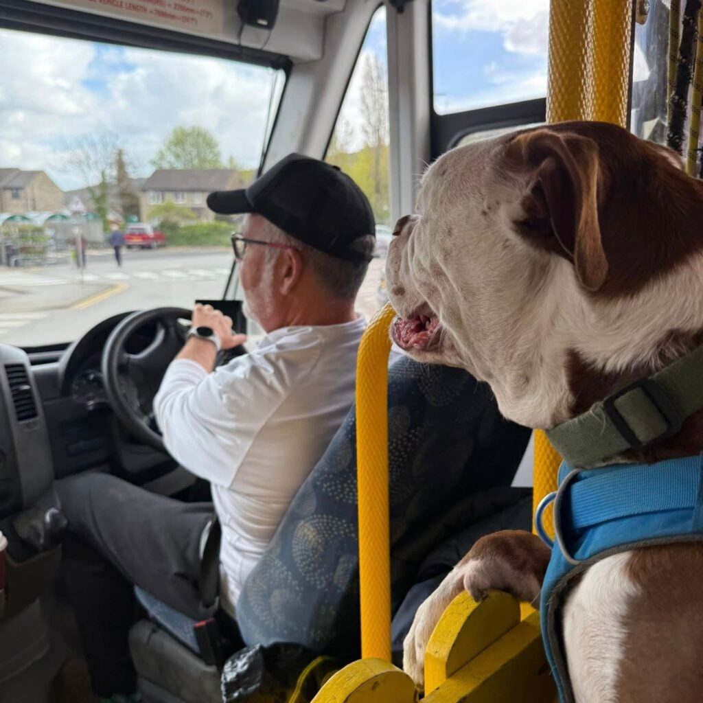 BILLY'S BUS