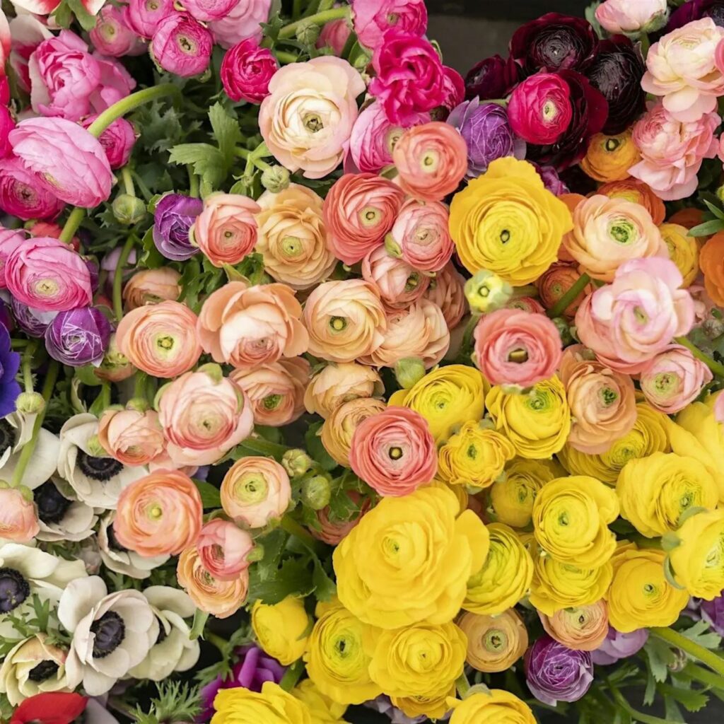 Springtime Vegetative Flower Workshop - Newcastle
