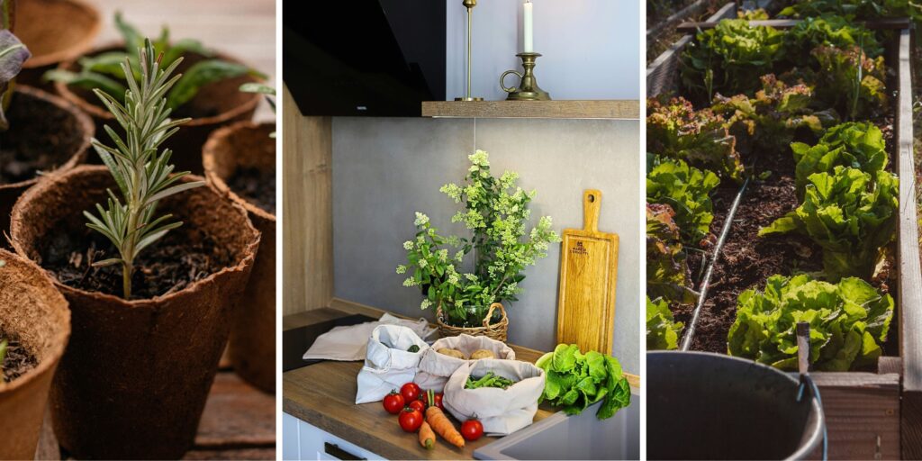 This month-by-month kitchen garden guide makes it foolproof