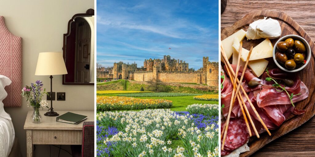 New openings, anniversaries and what's on in Northumberland this spring