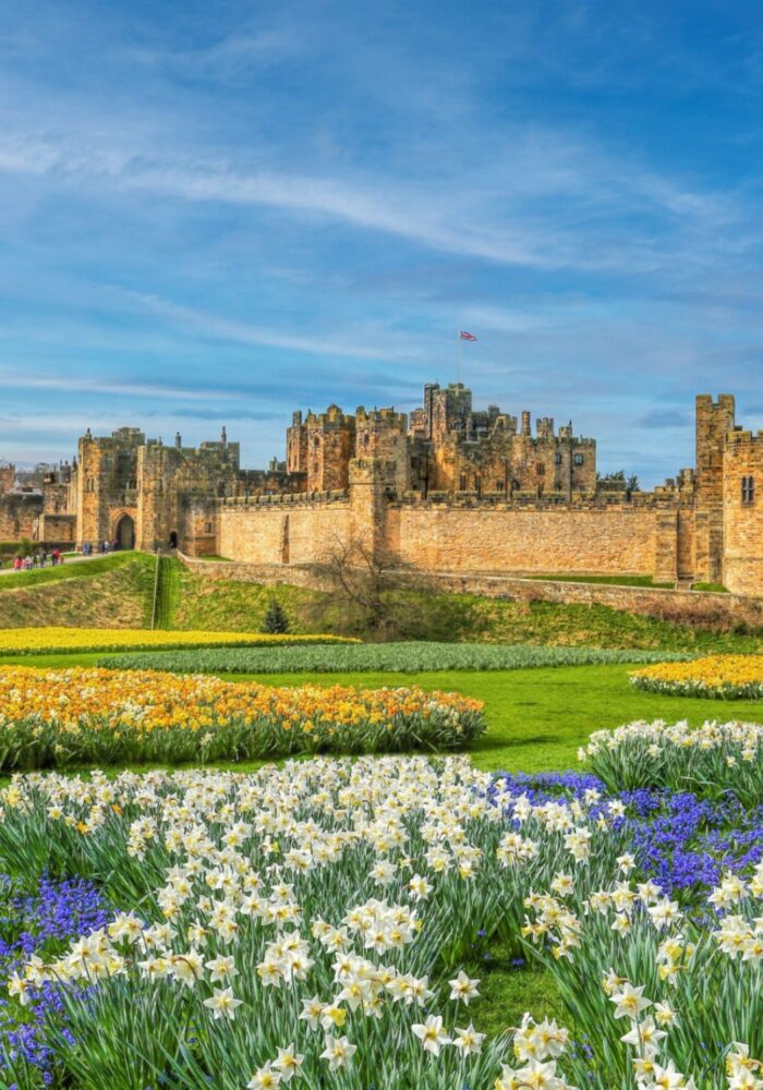 New openings, anniversaries and what's on in Northumberland this spring
