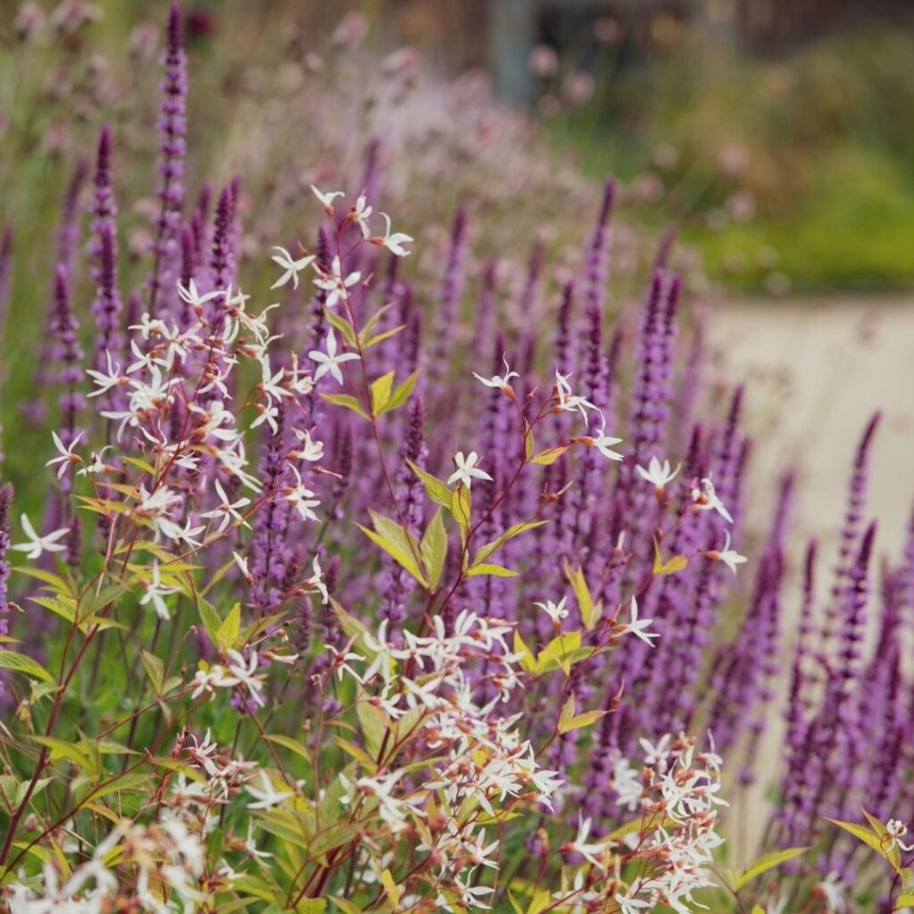 Raby Castle is in bloom with a beautiful new floral installation
