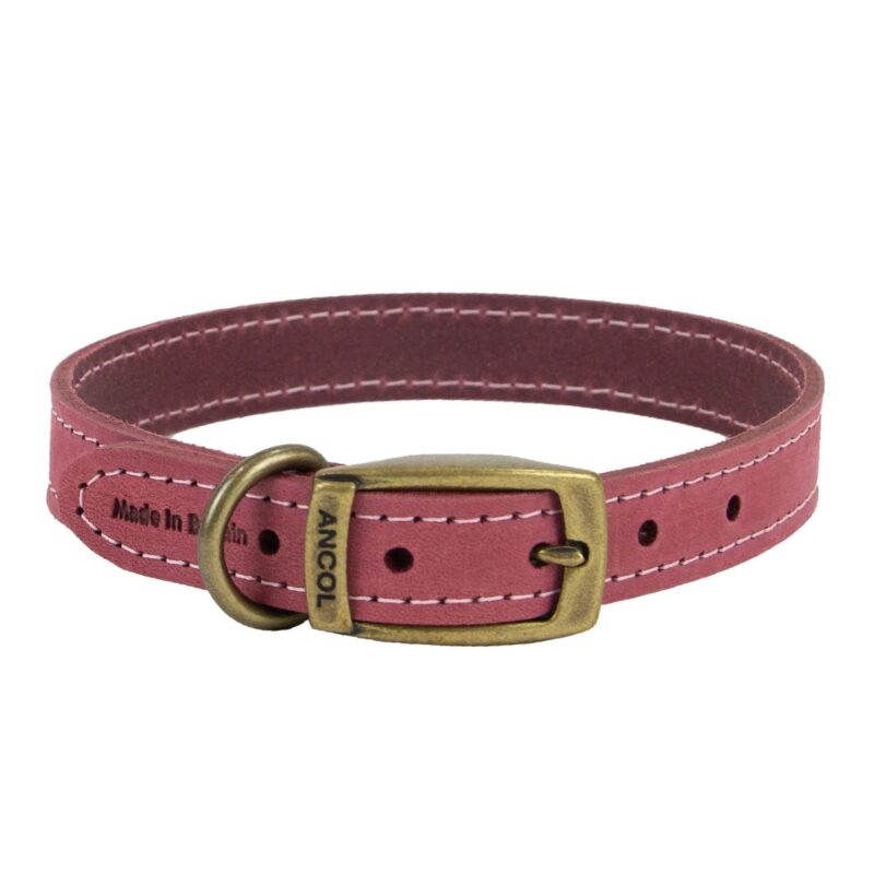Ancol Timberwolf Leather Collar - £7.29