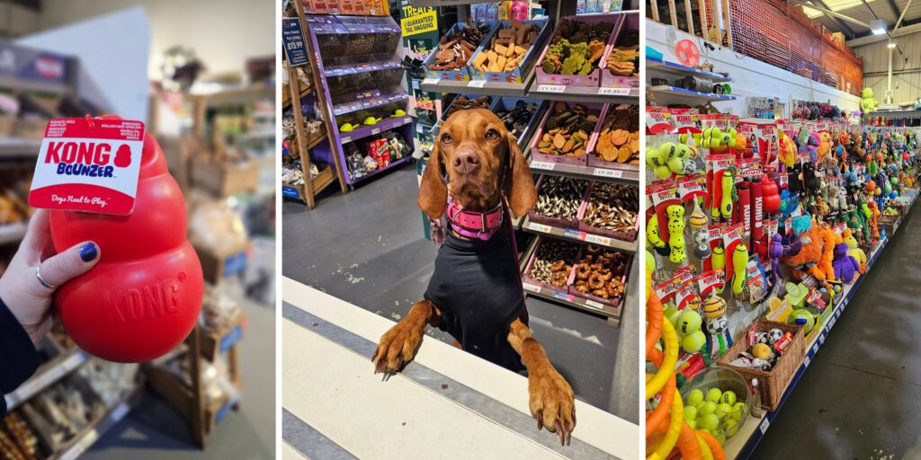 Direct Pets Team Valley is the family-run pet shop every animal lover needs to know about