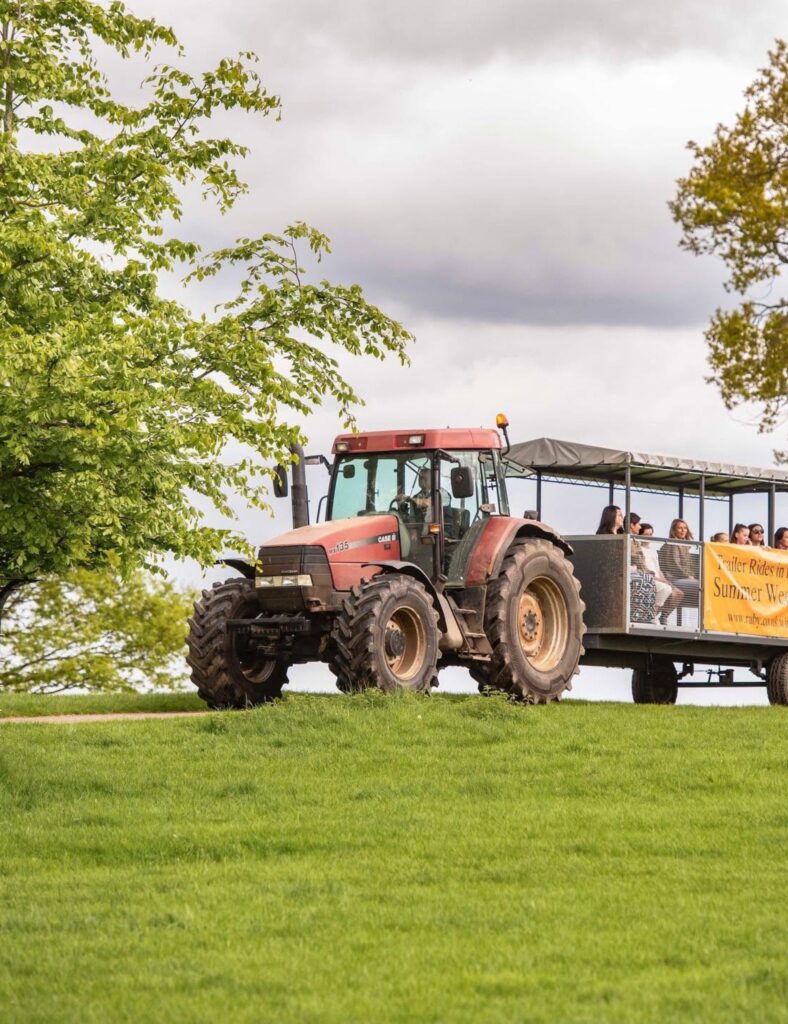 Free entry for dads at Raby Castle, County Durham