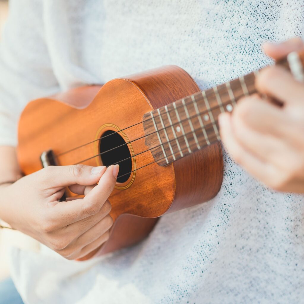 Beginner ukulele lessons at Land of Oak & Iron Heritage Centre, Gateshead