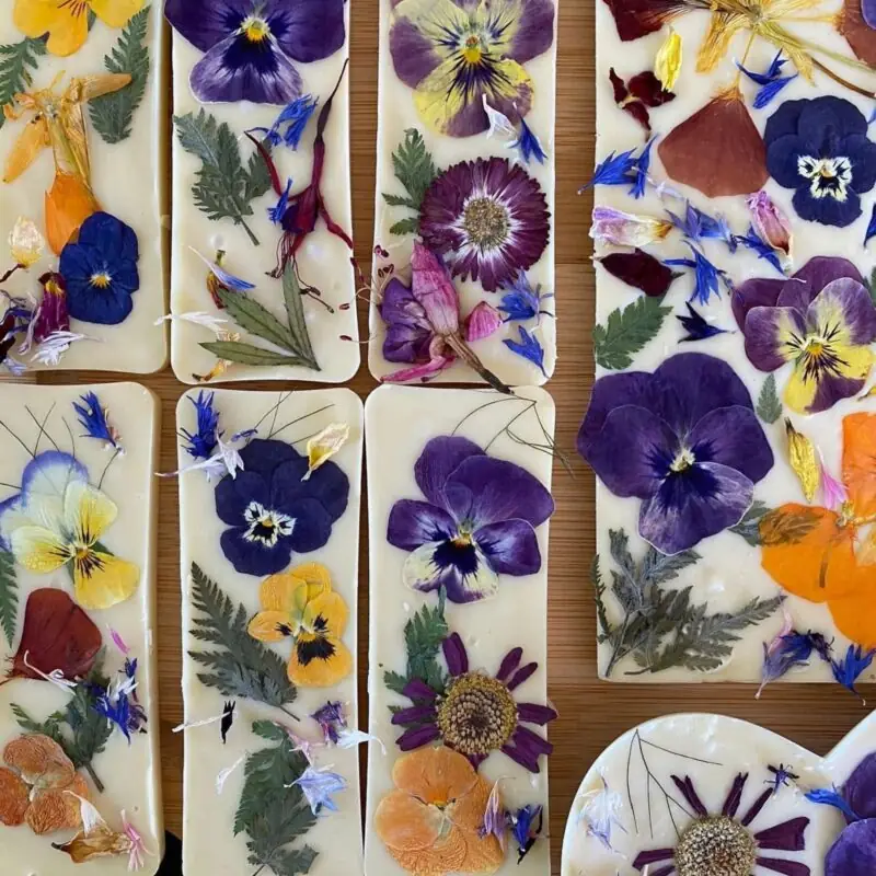 Coquet Chocolates 