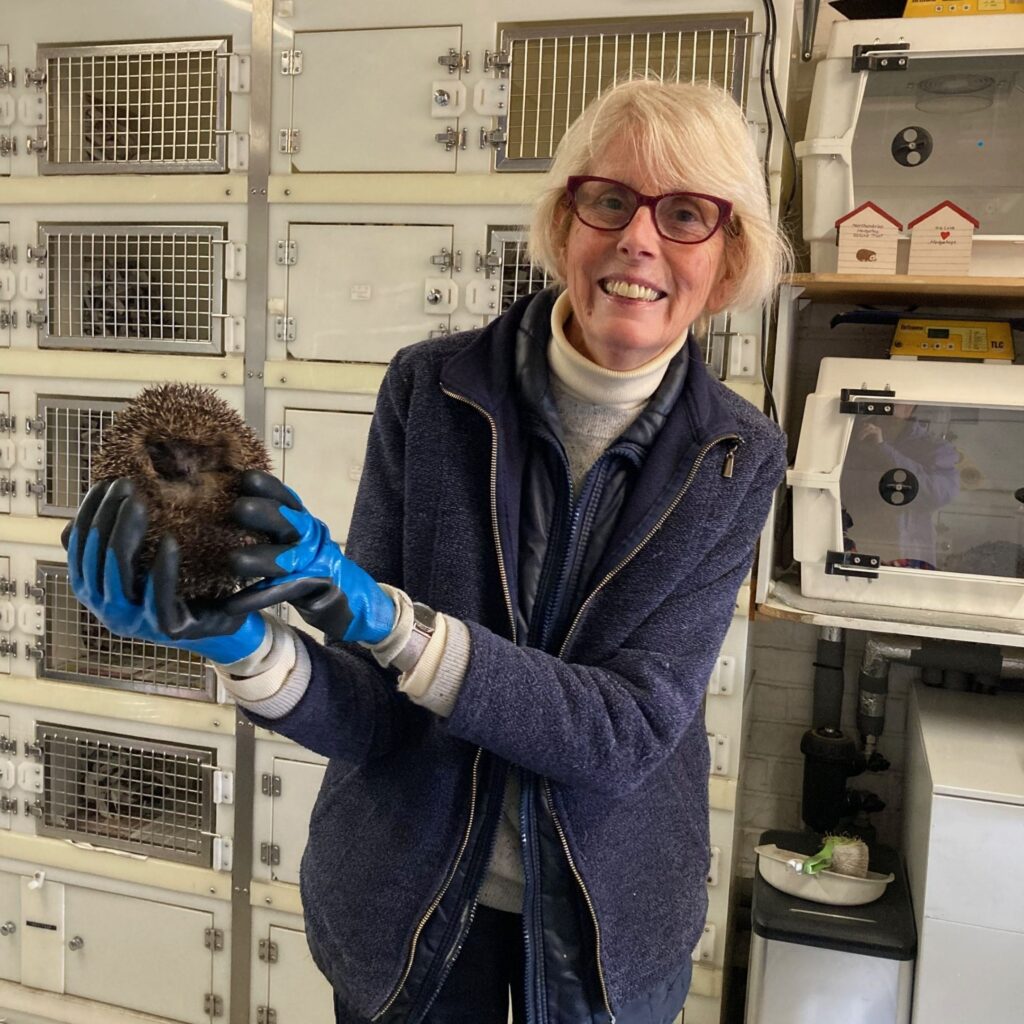 From alpaca farmer to archaeologist - Meet the people behind Northumberland’s most unique jobs