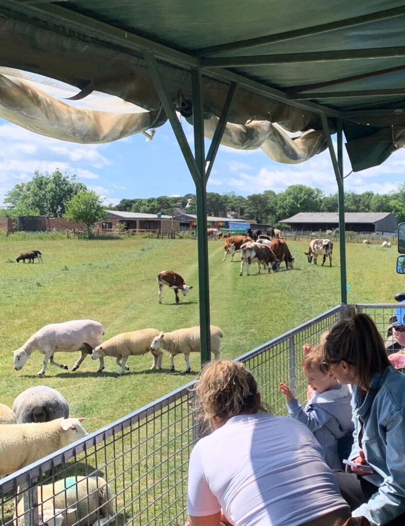 Dads go free at White House Farm, Northumberland
