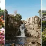 Save up to 25% on entry to some top North East Attractions by travelling via bus