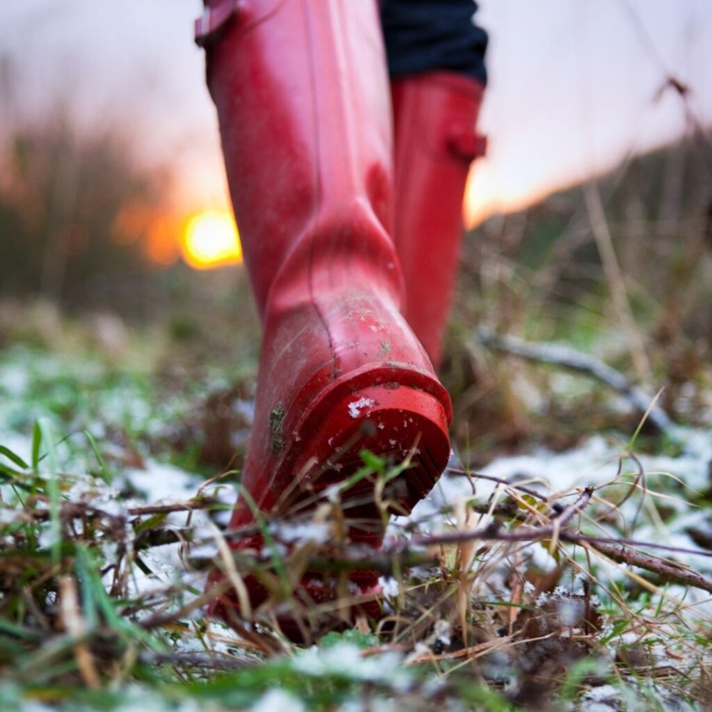 Wellies