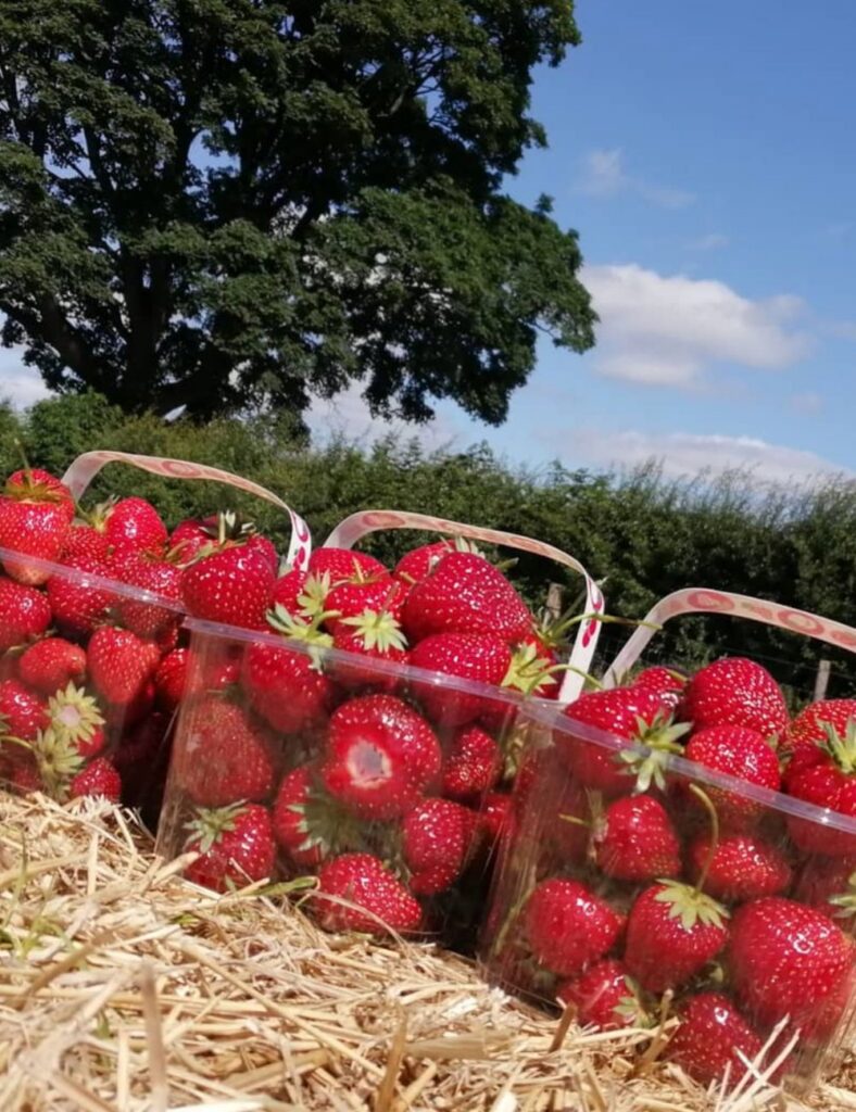 Kemps Farm, North Yorkshire