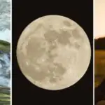 This full moon's exposing exactly what's holding you back