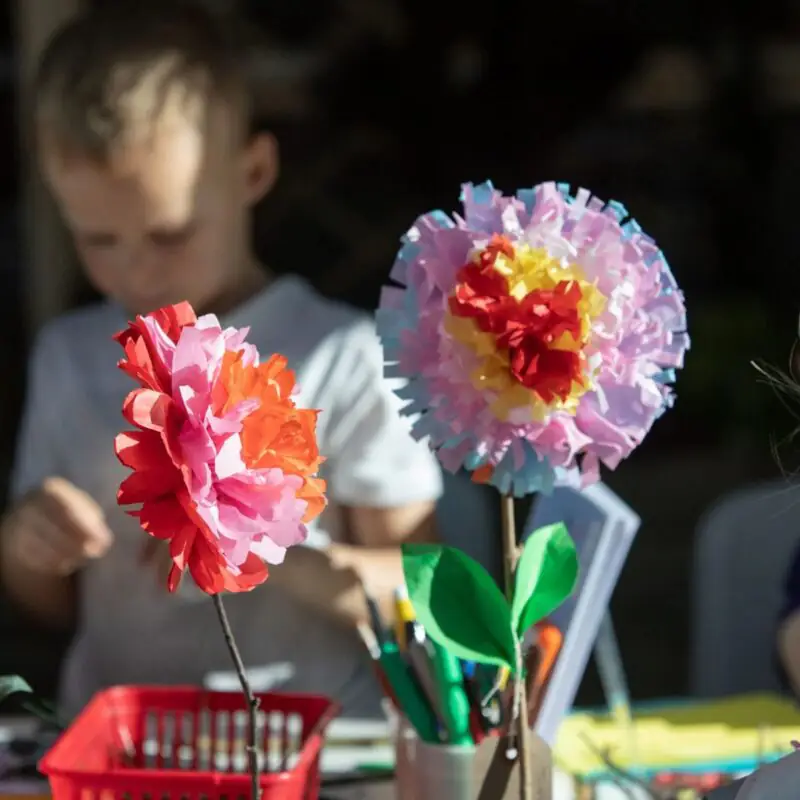 Grow your own garden - Baltic
