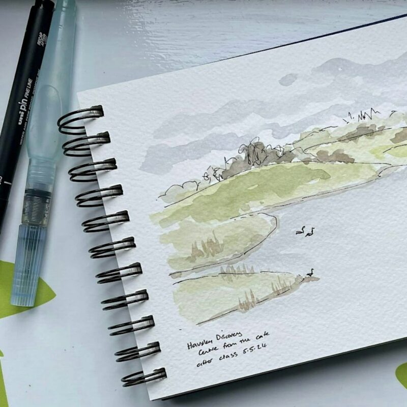 Walk & Sketch at Hauxley Wildlife Discovery Centre