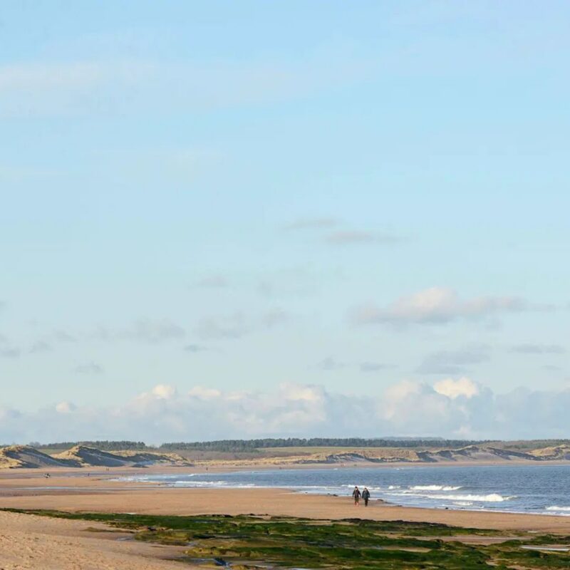 Whitley Bay Beach - Northumberland Wildlife Trust's young people's forum event