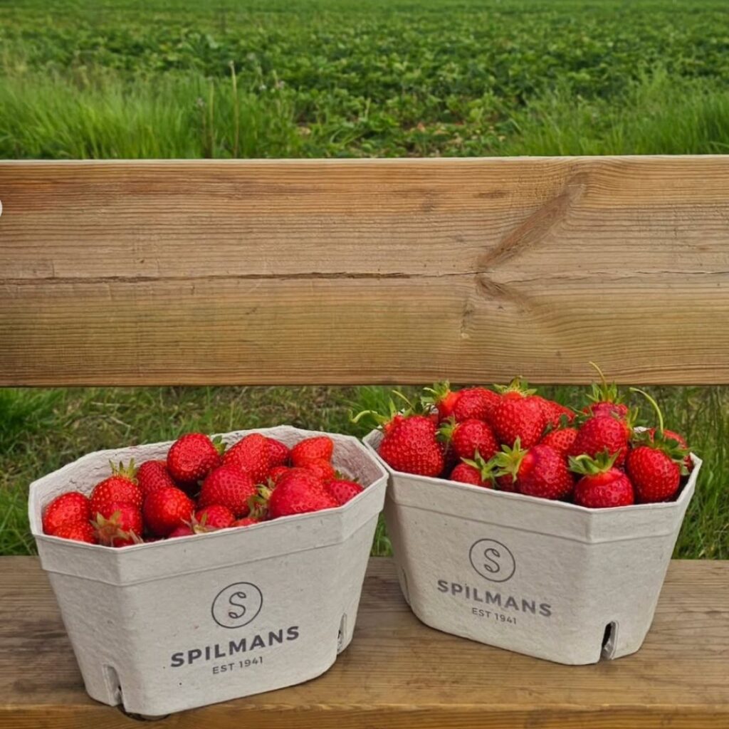 Spilmans Strawberries