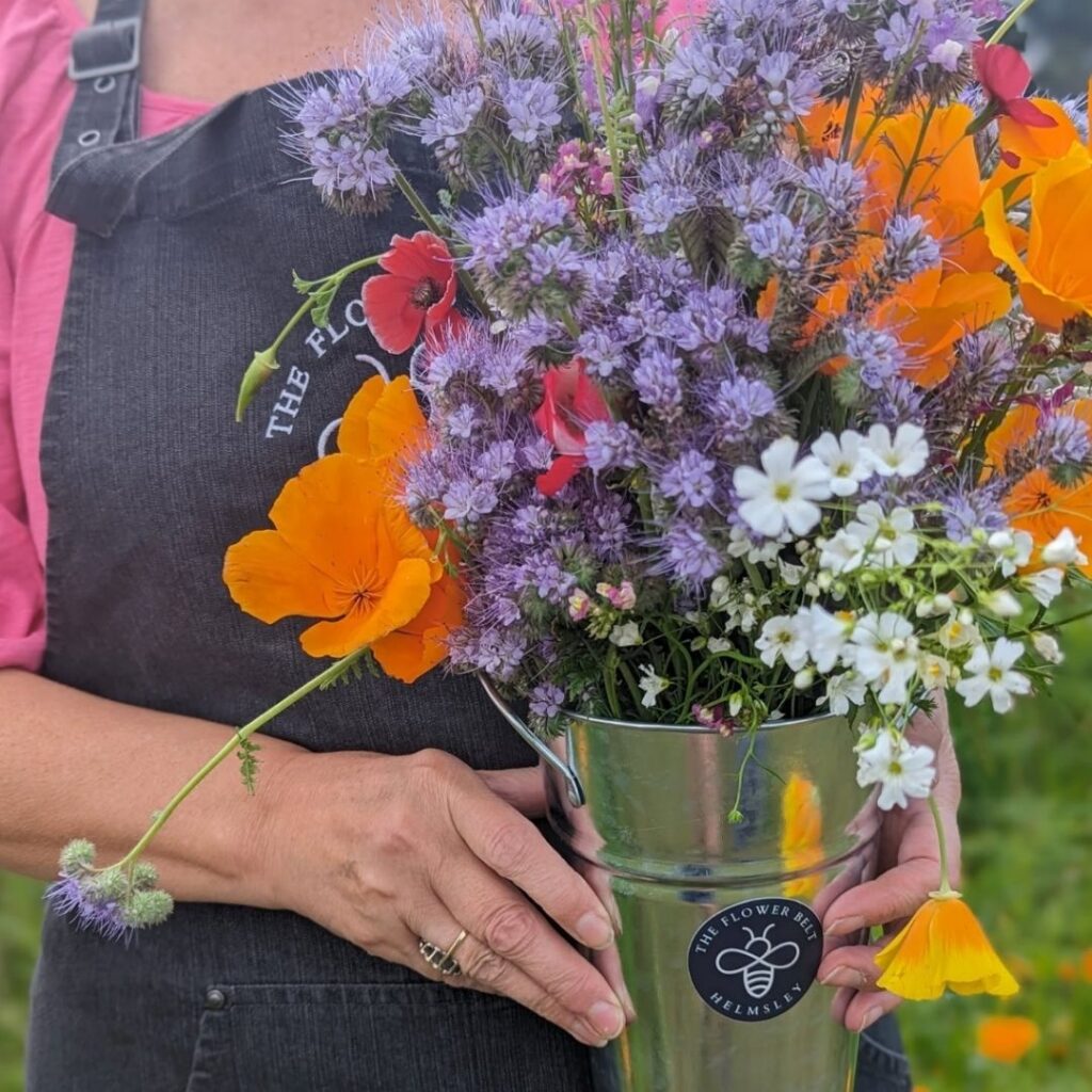 The Flower Belt Wildflowers