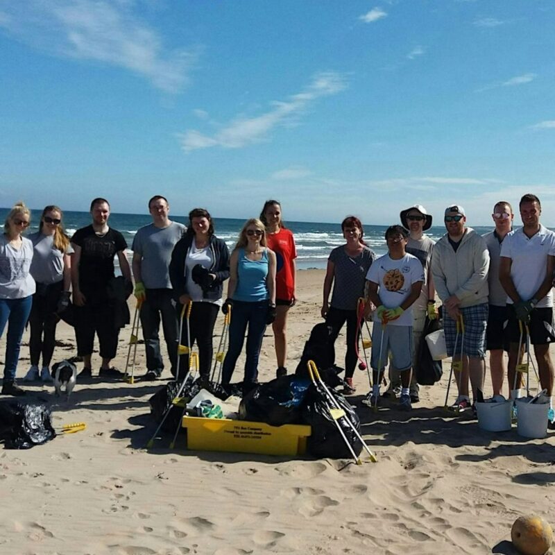 Blyth beach clean and seaweed spotting