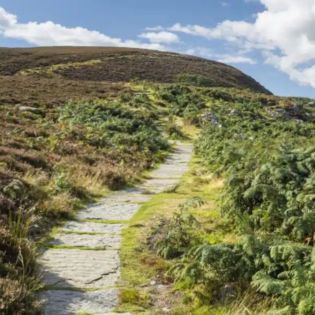 The Cheviots
