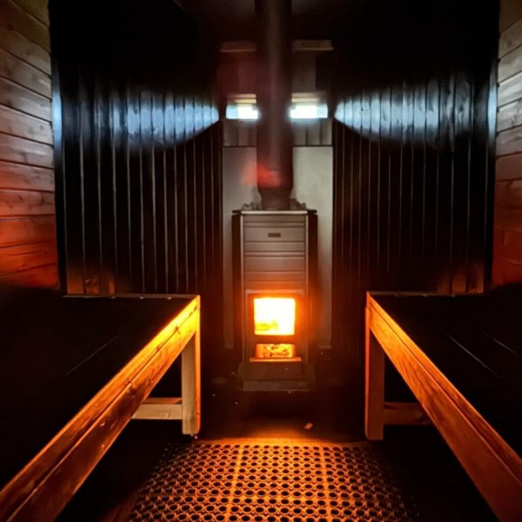 The Conscious Mind Sauna