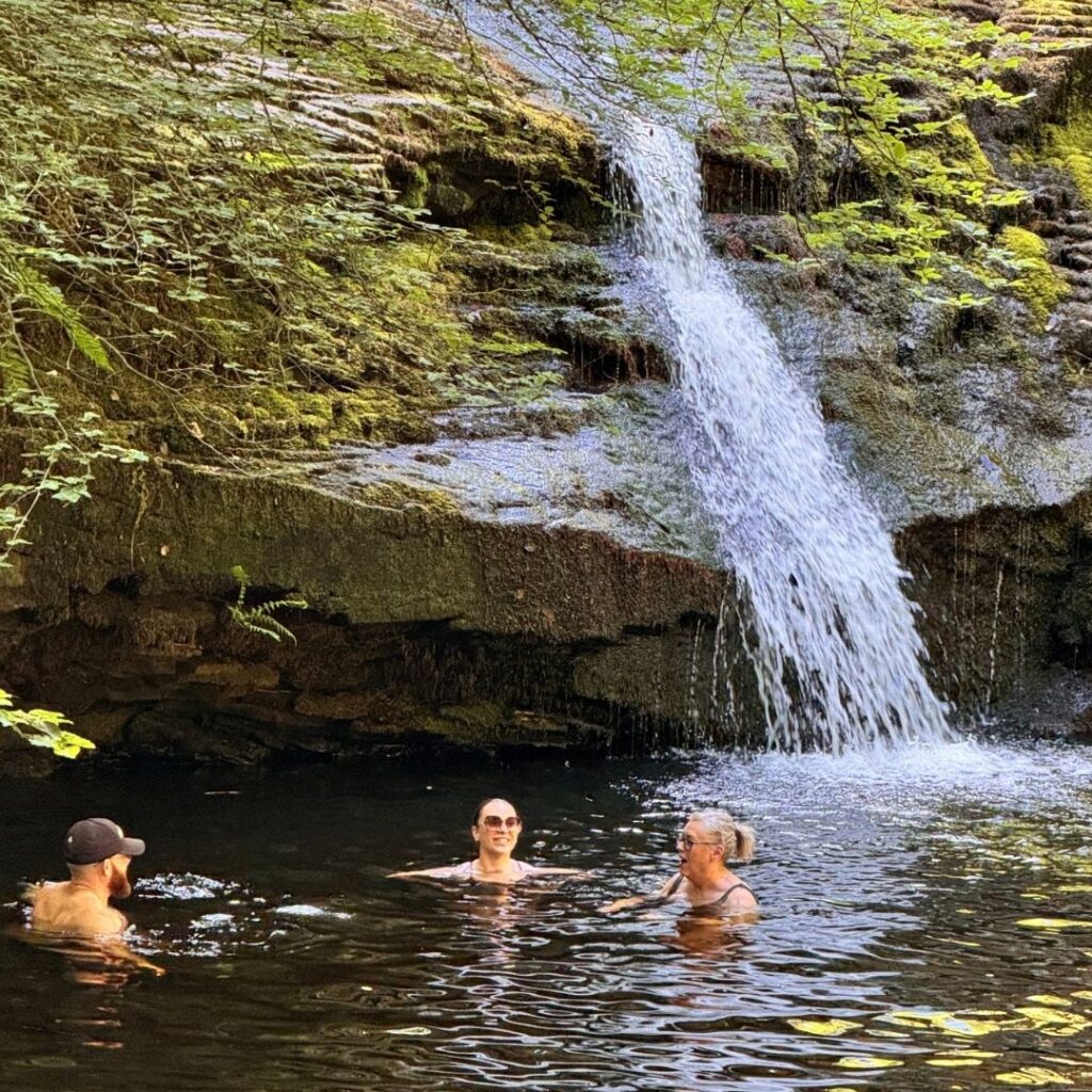 Hamsterley Forest Waterfall