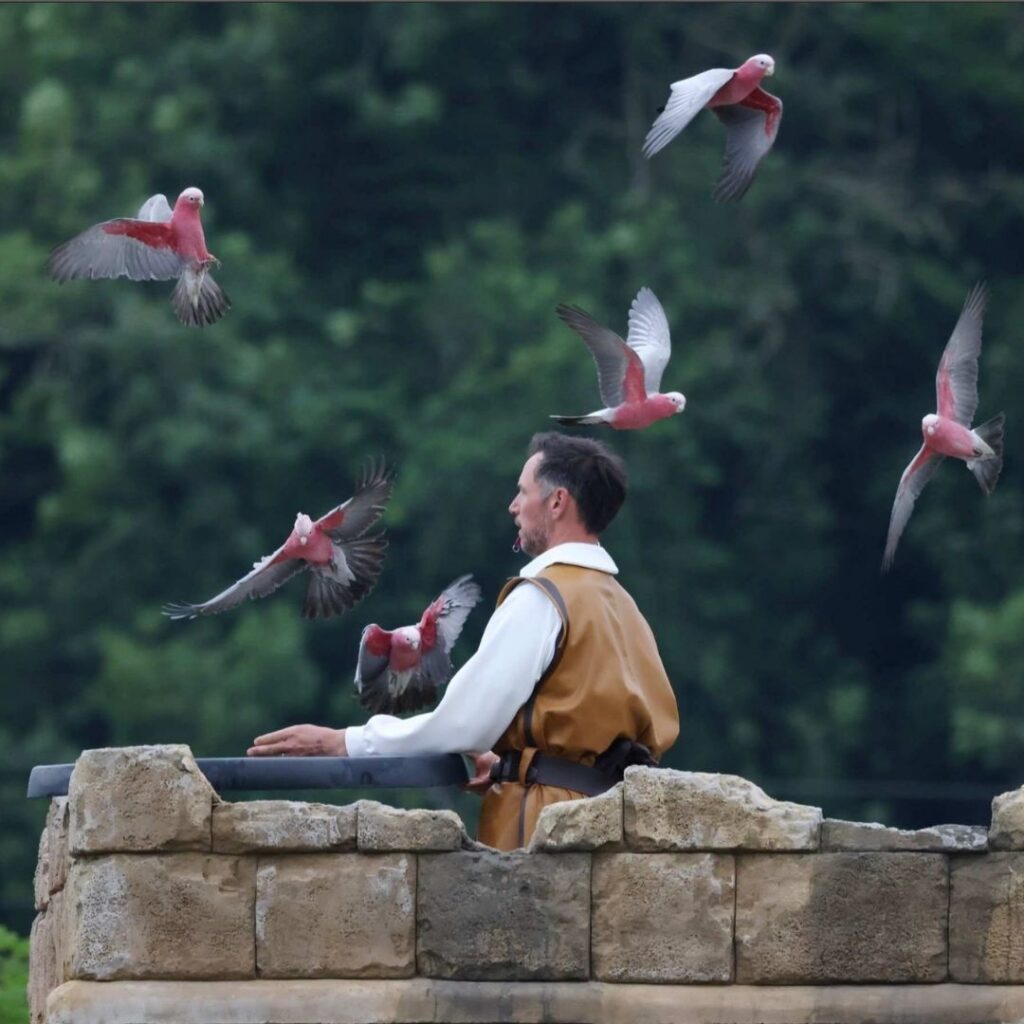 Kynren – The Storied Lands