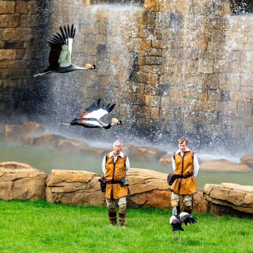 Kynren – The Storied Lands