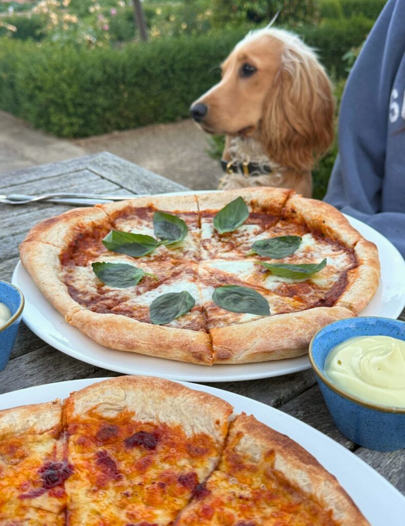 Stonebaked Pizza at The Glasshouse Restaurant - Wynyard Hall