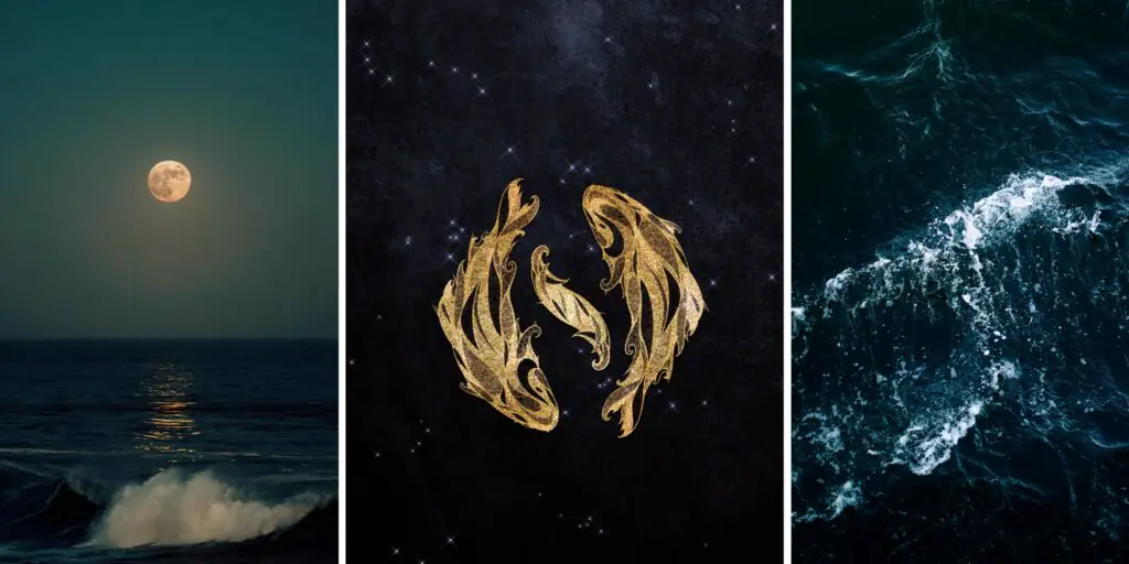Why this Friday's Pisces eclipse could change your path