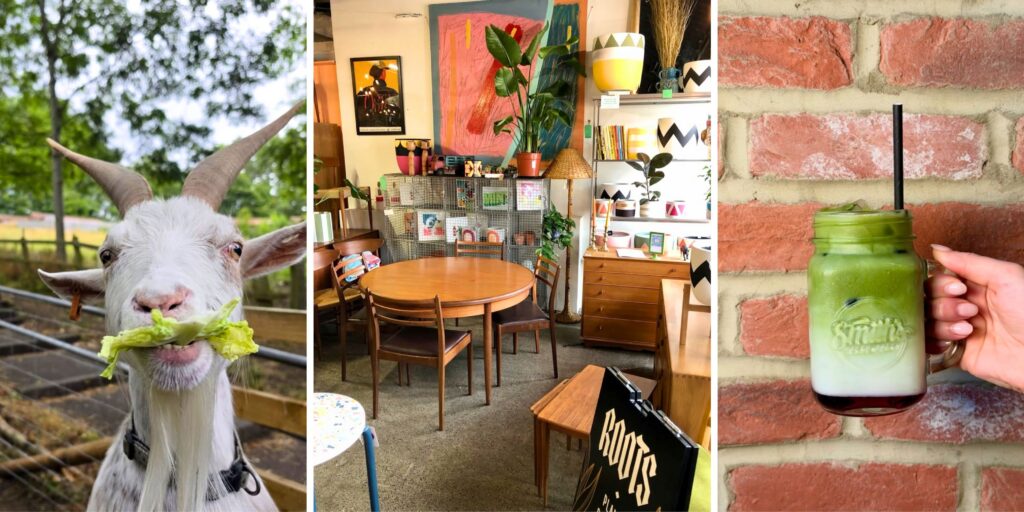 Your ultimate student guide to the North East - free days out, travel for £1 and student discounts