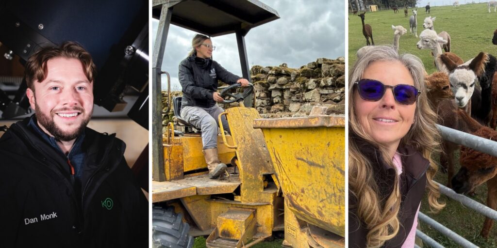 From alpaca farmer to archaeologist - Meet the people behind Northumberland’s most unique jobs