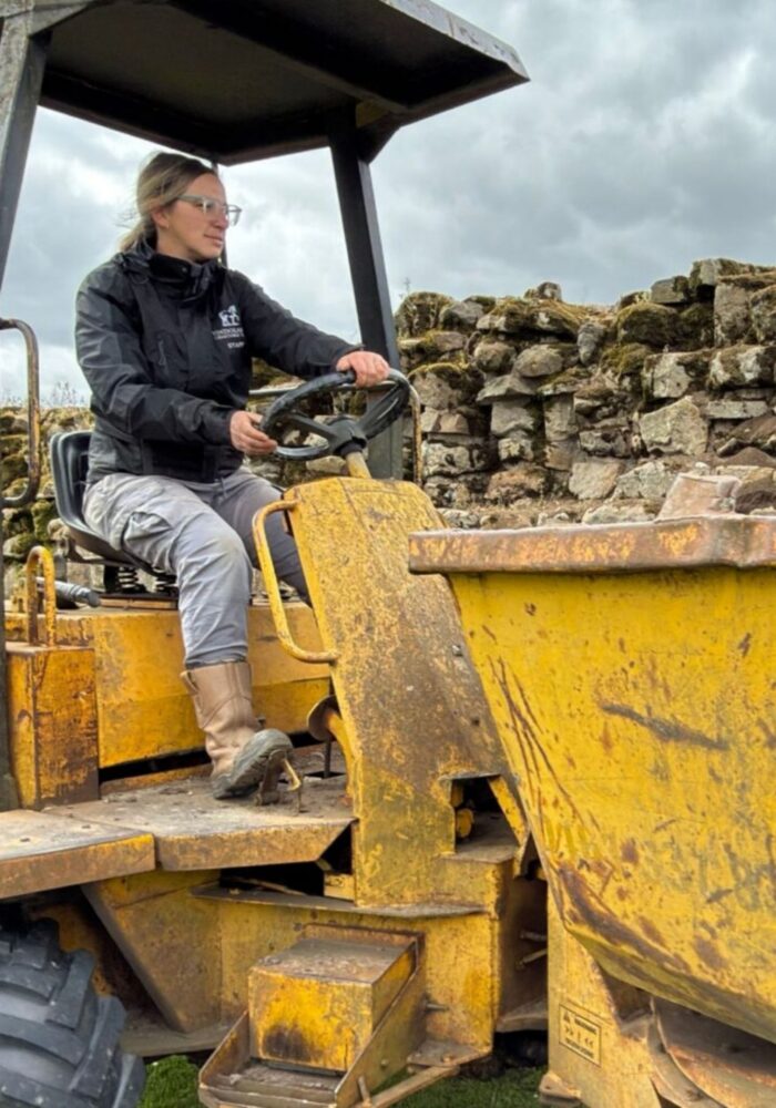 From alpaca farmer to archaeologist - Meet the people behind Northumberland’s most unique jobs