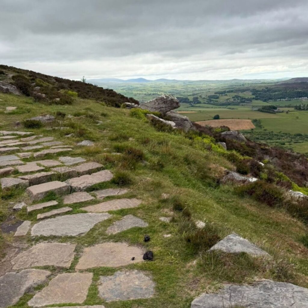 Simonside Hills