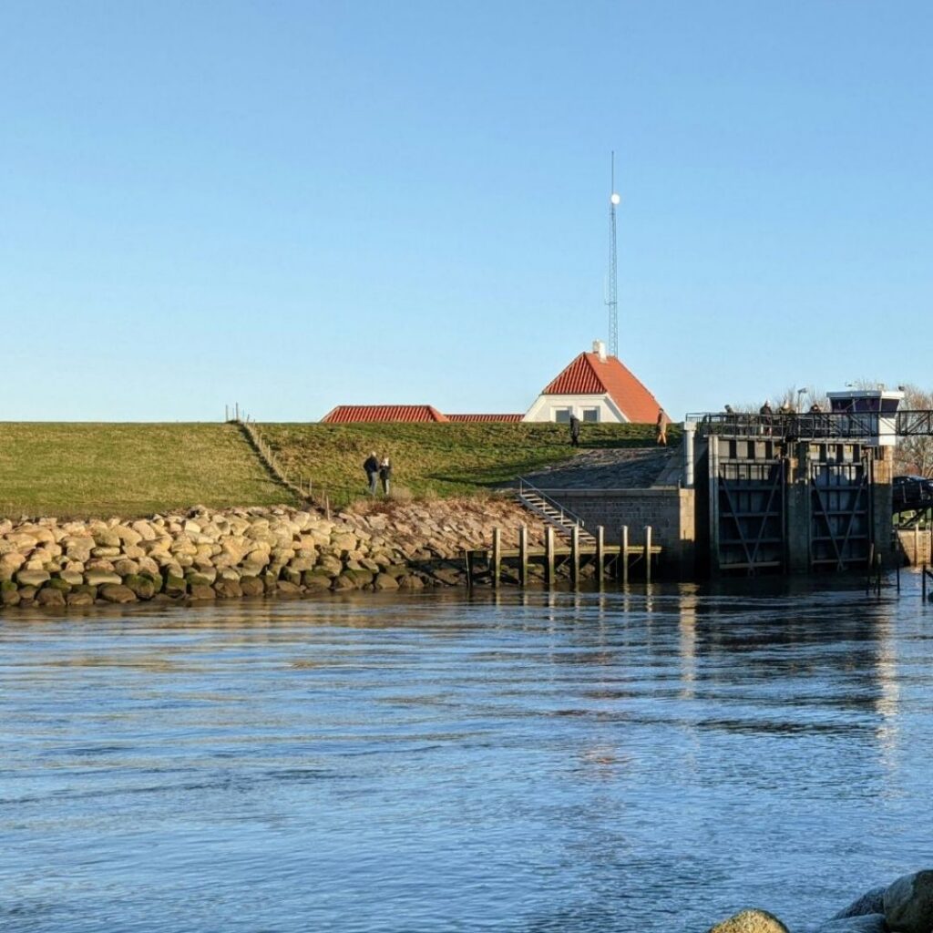 Seaton Sluice