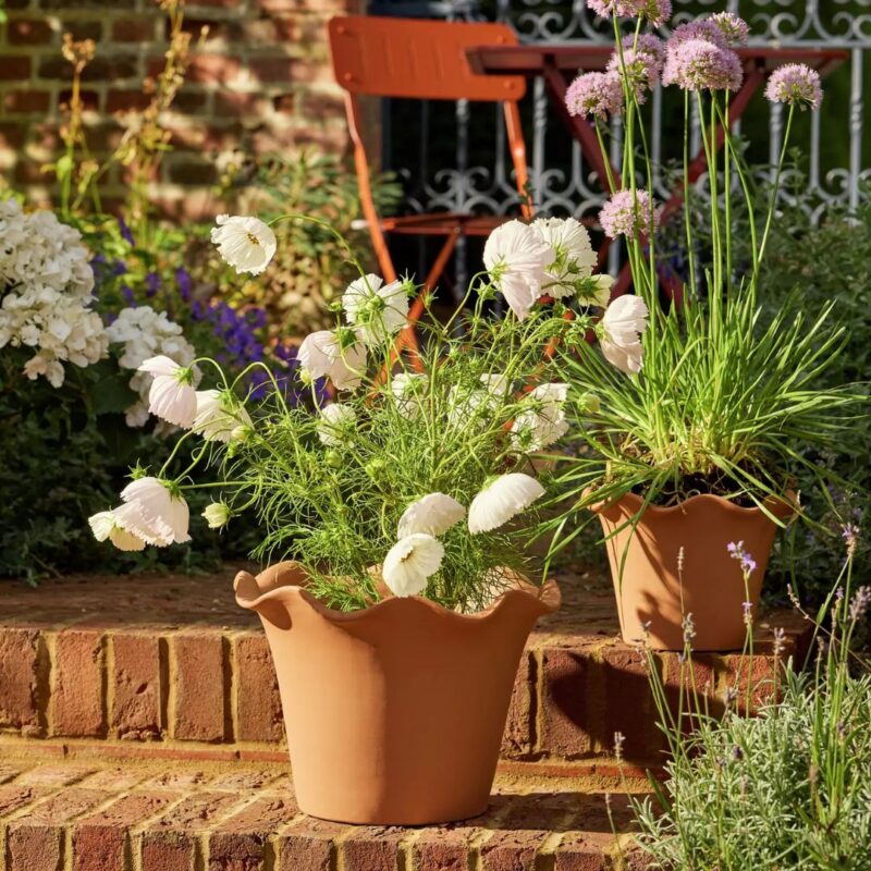 Argos - Scalloped Clay Planter - £30.00