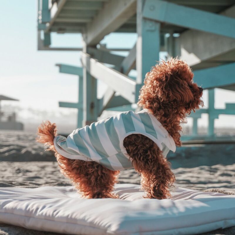 By Teddy - Cooling Dog Vest Matcha Stripe - £25.00