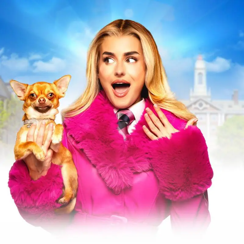 Legally Blonde – Sunderland