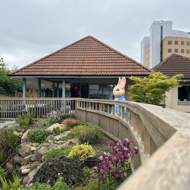 Peter Rabbit: Tales on the Tyne – Paint Your Own Birdhouse – Newcastle
