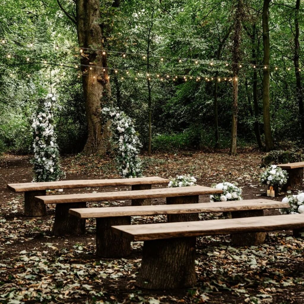 Walworth Castle - The Woodland