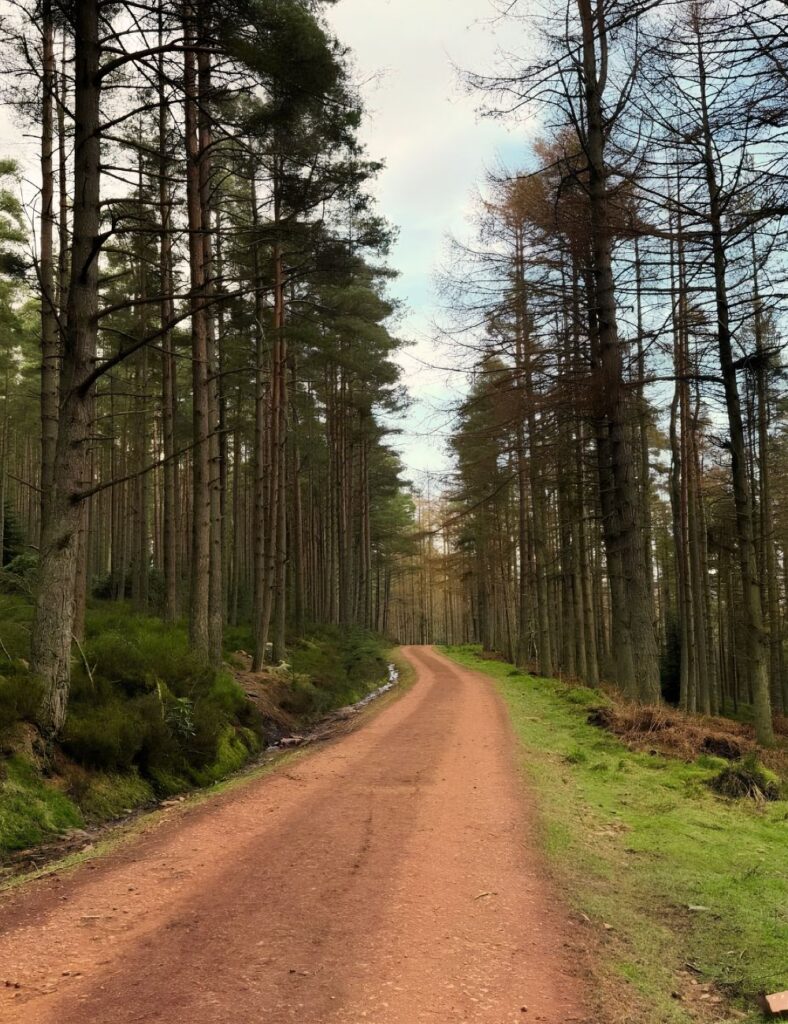 Coe Craggs Hike