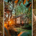The Woodland Chase treehouse is the glamping escape that's worth the hype – here’s what to expect