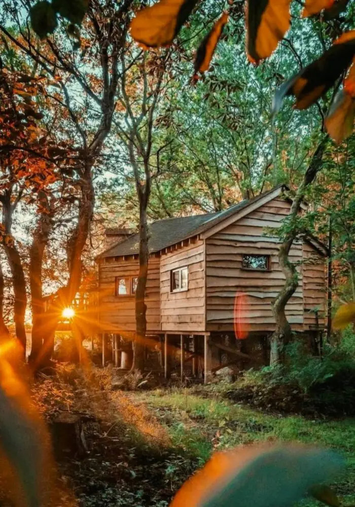The Woodland Chase treehouse is the glamping escape that's worth the hype – here’s what to expect