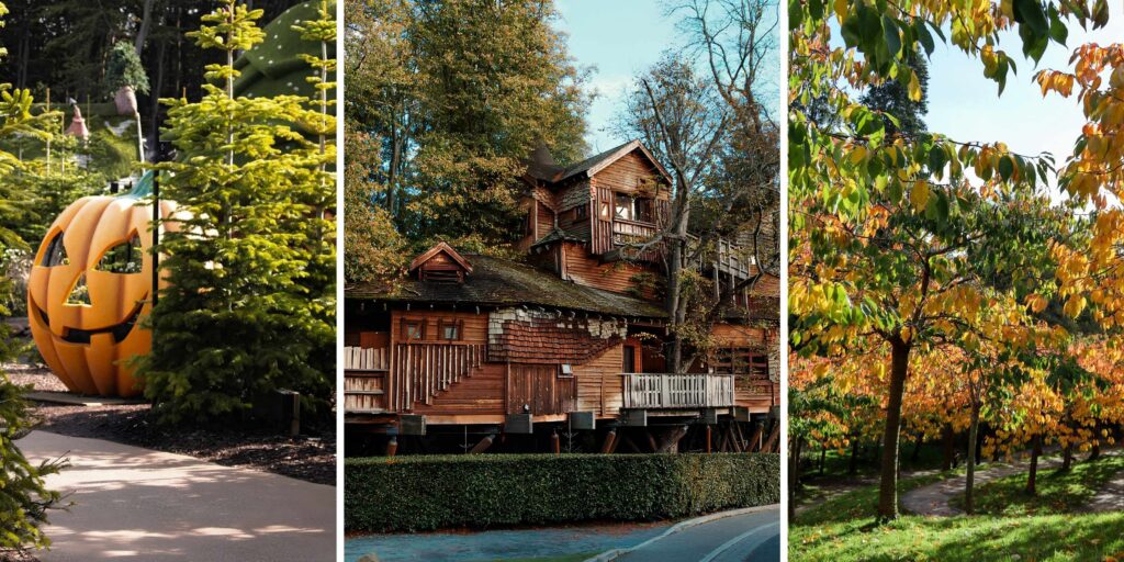 Autumn has arrived - here’s why The Alnwick Garden is a must-visit this season
