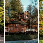 Autumn has arrived - here’s why The Alnwick Garden is a must-visit this season