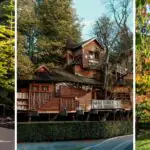 Autumn has arrived - here’s why The Alnwick Garden is a must-visit this season