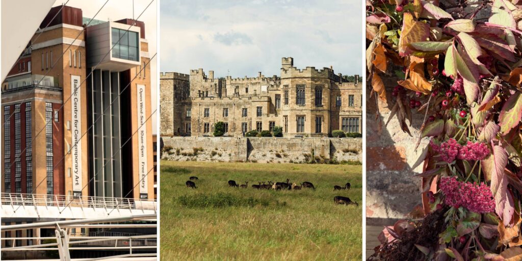 20 things to do in the North East this weekend (23rd - 27th September)
