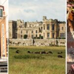 20 things to do in the North East this weekend (23rd - 27th September)
