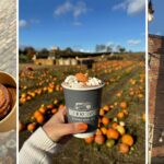 Team High Life North's autumn bucket list for the North East