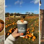 Team High Life North's autumn bucket list for the North East